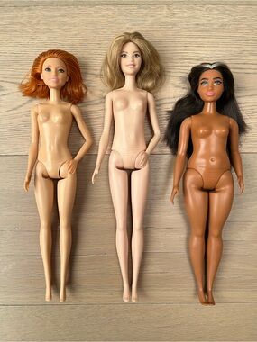 Nude Fashionista Barbie dolls (HBV13/#79, DVX75/#53 and FXL55/#123)